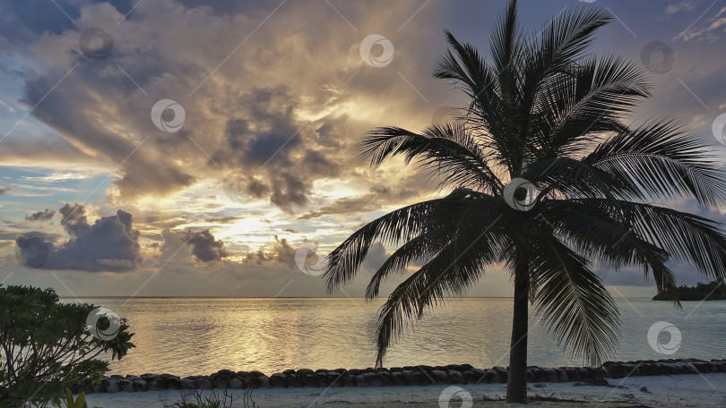 Скачать Мирный закат на Мальдивах. Облака сияют золотом в лучах солнца. фотосток Ozero