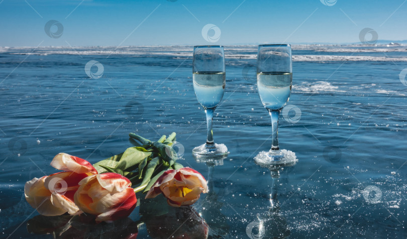 Скачать На гладком голубом льду замерзшего озера стоят два бокала шампанского и три красных и желтых тюльпана. фотосток Ozero
