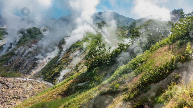 Скачать Знаменитая долина гейзеров. Камчатка.  Столбы пара из горячих источников поднимаются в небо фотосток Ozero