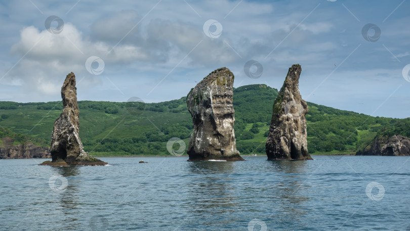 Скачать Высокие живописные скалы возвышаются над океаном. Птичьи гнезда на камнях. фотосток Ozero