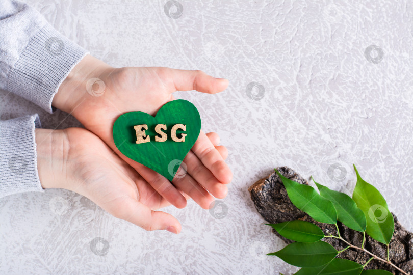Скачать Концепция ESG. Зеленое сердечко с буквами на ладонях и листьями на фотосток Ozero