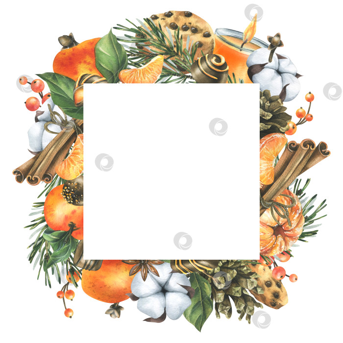 Скачать Мандарины с хлопком, сосновыми ветками и шишками, сладостями, свечой и специями. Акварельная иллюстрация, нарисованная от руки для рождественского декора. Квадратная рамка, выделенная на белом фоне фотосток Ozero