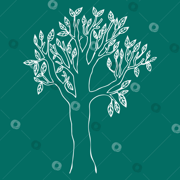 Скачать иллюстрация дерева, эскиз дерева, нарисованное белое дерево на зеленом фоне фотосток Ozero