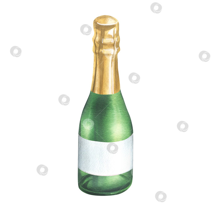 Скачать Закрытая зеленая бутылка с шампанским, золотистая обертка и пустая белая этикетка. Акварельная иллюстрация, нарисованная от руки. Изолированный объект на белом фоне фотосток Ozero