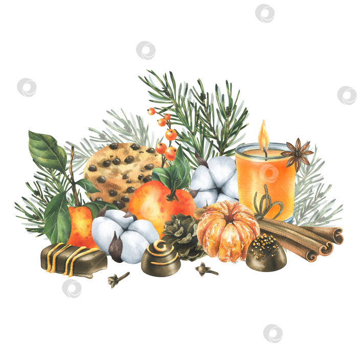 Скачать Мандарины с хлопком, сосновыми ветками и шишками, сладостями, свечой и специями. Акварельная иллюстрация, нарисованная от руки для рождественского декора. Изолированная композиция на белом фоне. фотосток Ozero