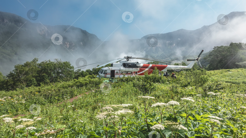 Скачать Вертолет стоит на посадочной площадке на лугу. Повсюду зеленая трава и полевые цветы. фотосток Ozero