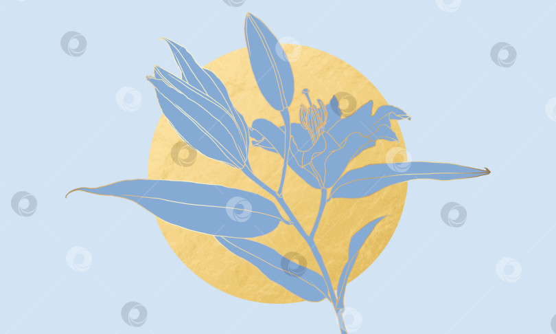 Скачать Роскошный линейный рисунок золотого цветка лилии в стиле ар-деко и луна из золотой фольги на светло-голубом фоне фотосток Ozero