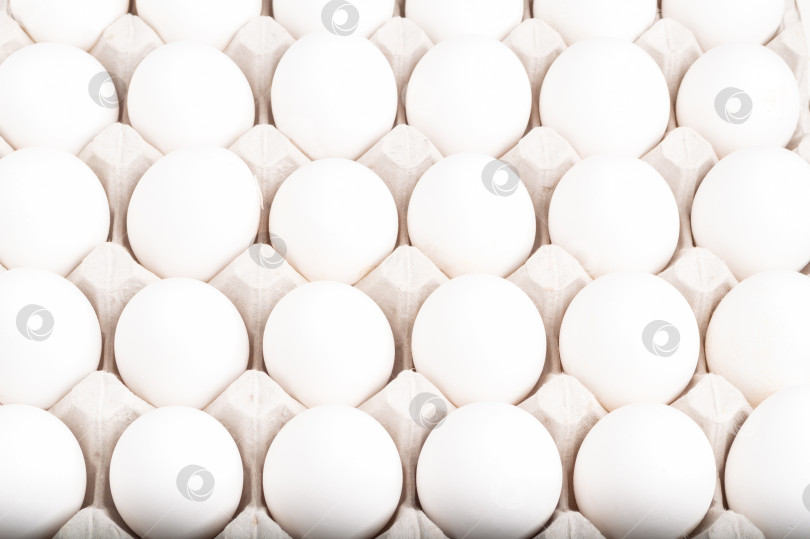 Скачать Яйца в картонной коробке. фотосток Ozero