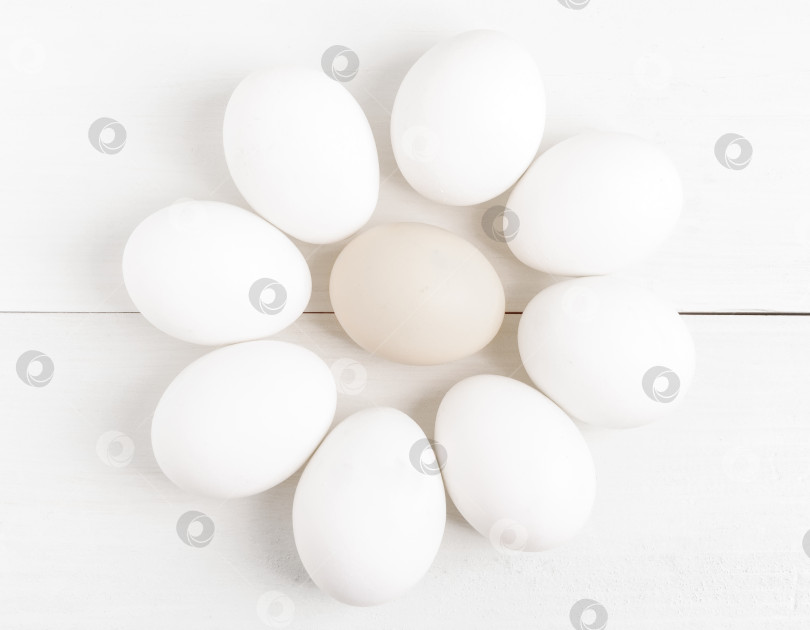 Скачать Куриные белые яйца. фотосток Ozero