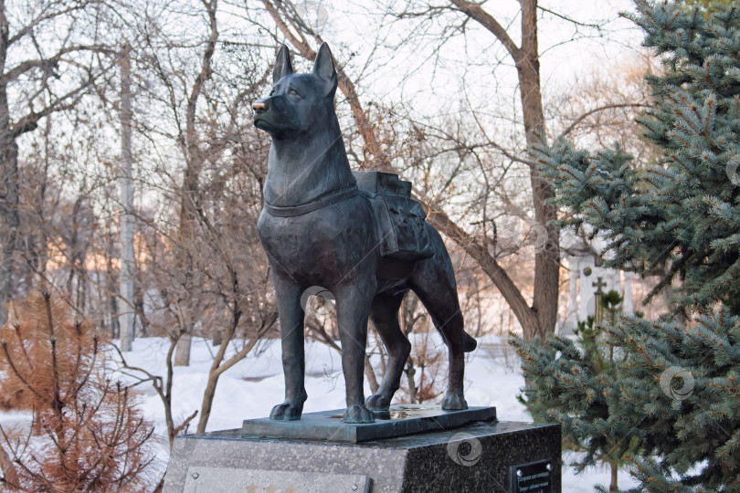 Скачать Памятник собакам - снос танков в Волгограде фотосток Ozero
