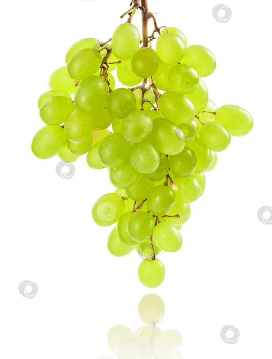 Скачать Гроздь винограда. фотосток Ozero
