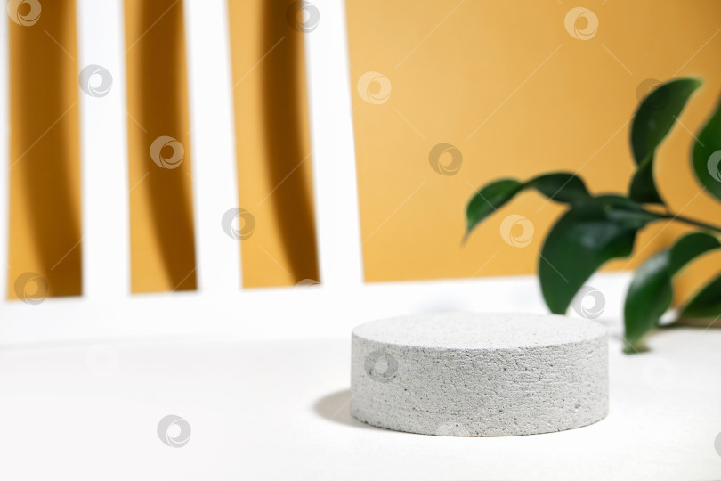Скачать Цилиндрический каменно-бетонный эко-подиум на бело-бежевом фоне с разноцветными листьями, резкими тенями на солнце, геометрическими линиями с тенями. Минимальная пустая сцена презентации косметического продукта. фотосток Ozero