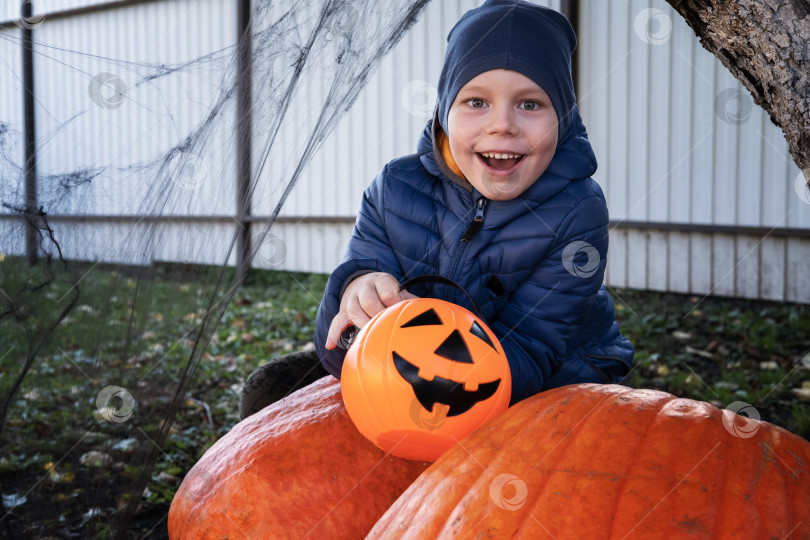 Скачать Дети на Хэллоуин. Милый маленький мальчик, ребенок с оранжевым ведерком конфет Jack O Lantern, рядом с тыквой и паутиной. счастливого Хэллоуина. фотосток Ozero