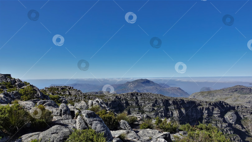 Скачать На вершине Столовой горы в Кейптауне фотосток Ozero
