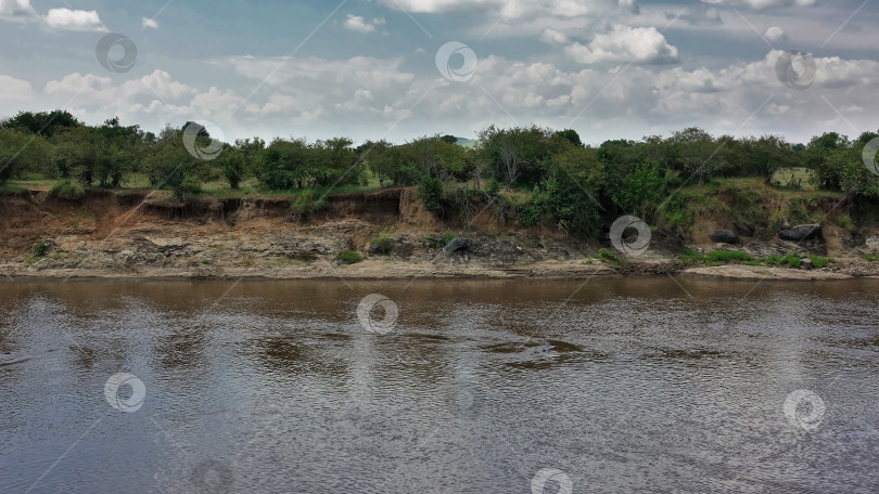 Скачать Африканская река Мара течет спокойно. фотосток Ozero