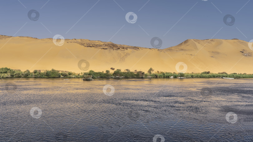 Скачать Река Нил течет спокойно. На берегу есть зеленая растительность. фотосток Ozero
