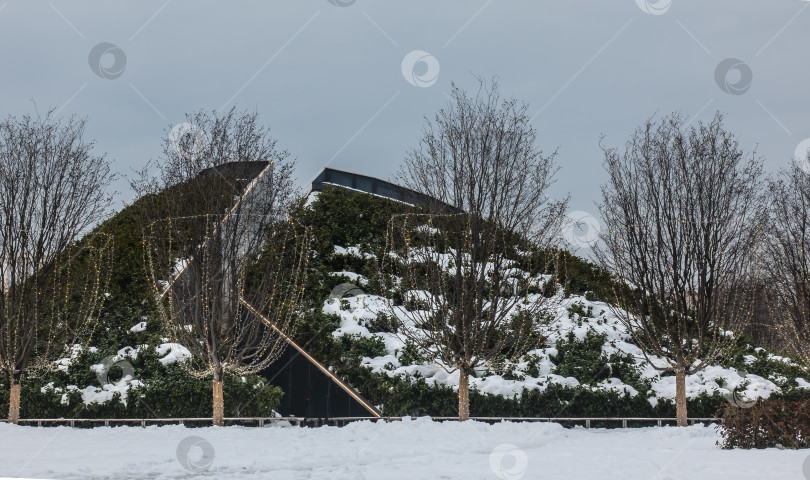 Скачать Декоративный холм в зимнем городском парке покрыт вечнозелеными растениями. фотосток Ozero
