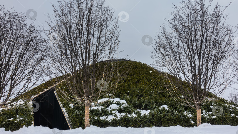 Скачать Декоративный холм в городском парке покрыт вечнозелеными кустарниками. фотосток Ozero