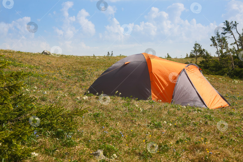 Скачать Туристическая палатка на поляне фотосток Ozero
