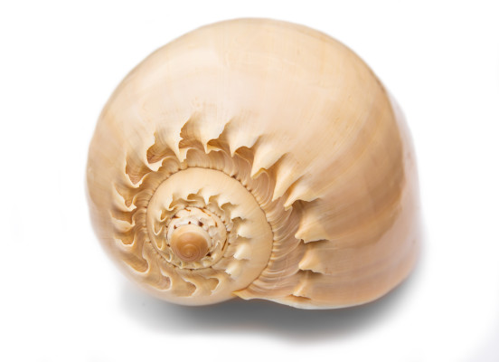 [object Object] undefined
