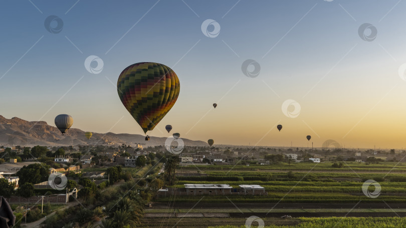 Скачать Разноцветные воздушные шары летают на рассвете над долиной Нила. фотосток Ozero
