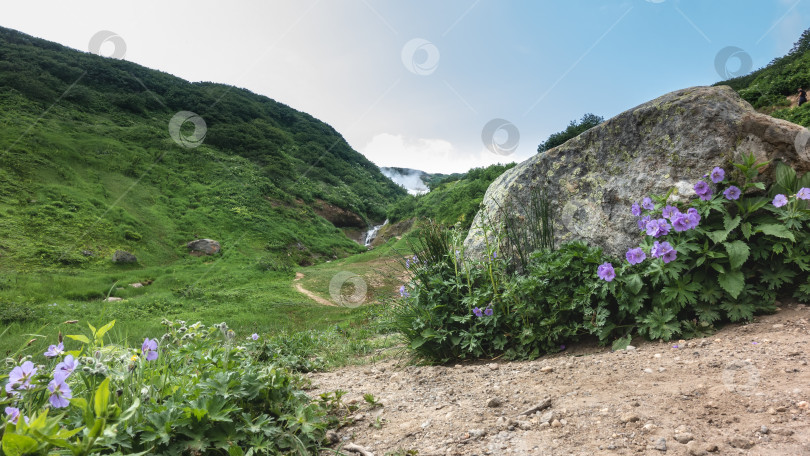 Скачать Тропинка петляет между зелеными горными склонами. фотосток Ozero