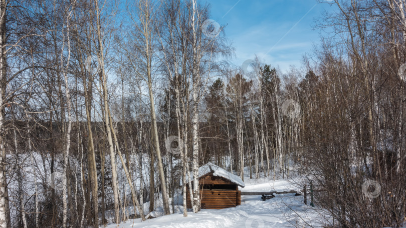 Скачать Дорога идет через зимний лес. фотосток Ozero