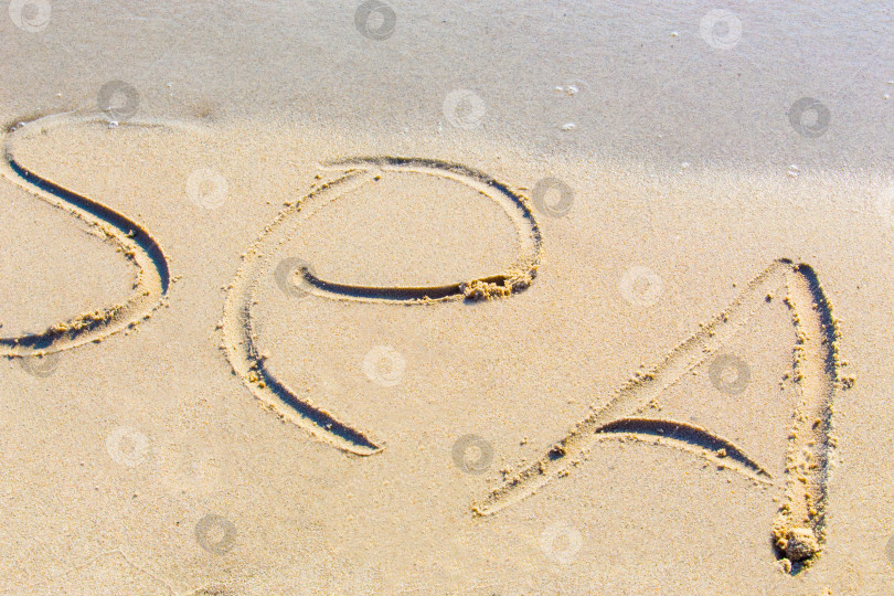 Скачать слово "море" и "песок" фотосток Ozero
