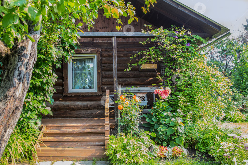 Скачать Красивый деревянный бревенчатый дом, заросший зеленью фотосток Ozero