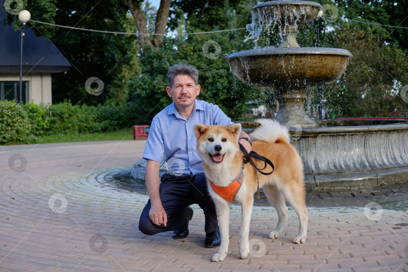 Скачать Взрослый мужчина гуляет с собакой породы акита в городском парке. фотосток Ozero