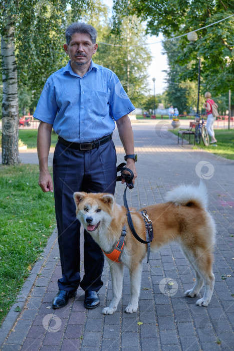 Скачать Взрослый мужчина гуляет с собакой породы акита в городском парке. фотосток Ozero