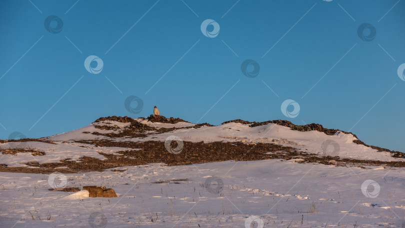 Скачать Заснеженный холм на фоне ясного голубого неба. фотосток Ozero