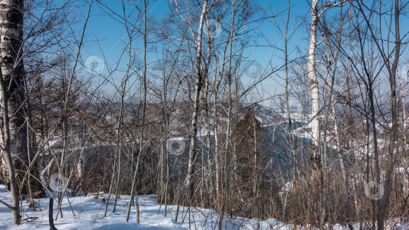 Скачать Зимний лес в солнечный день. фотосток Ozero