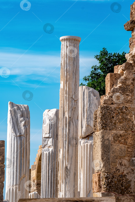 Скачать прекрасные мраморные колонны на фоне неба среди руин фотосток Ozero