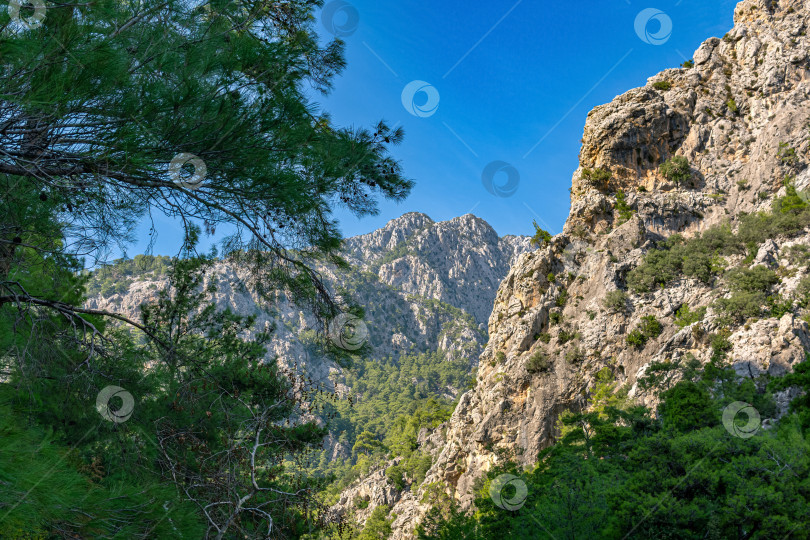 Скачать горный пейзаж, вершины известняковых лесистых скал Тавра фотосток Ozero