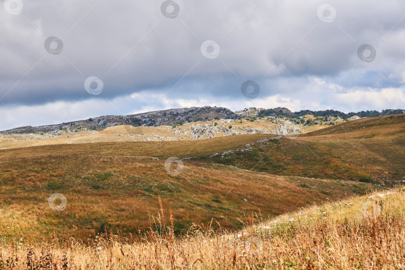 Скачать скалистое горное плато с сухой травой под пасмурным небом фотосток Ozero