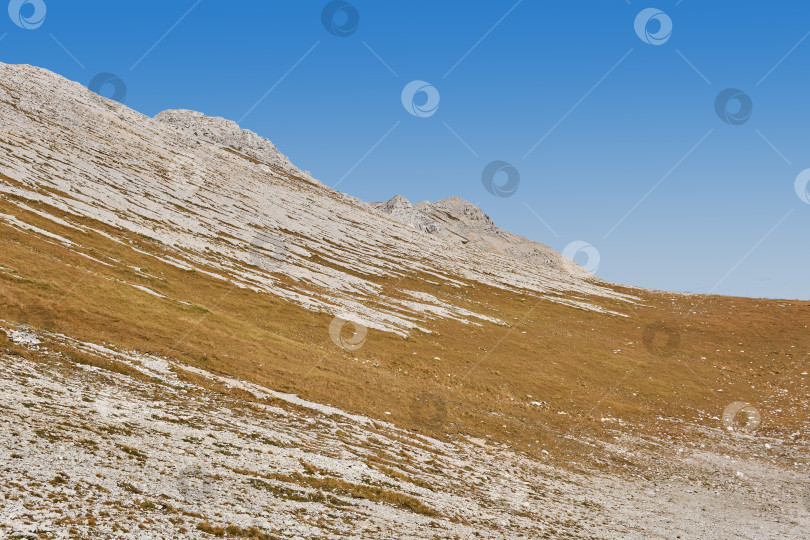Скачать сухая горная тундра на высокогорном плато в ясный день фотосток Ozero