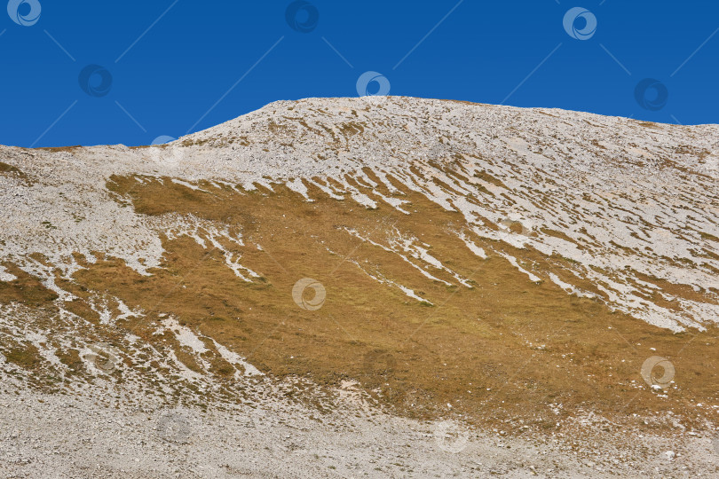 Скачать сухая горная тундра на склонах горы Оштен, Кавказ, Россия фотосток Ozero