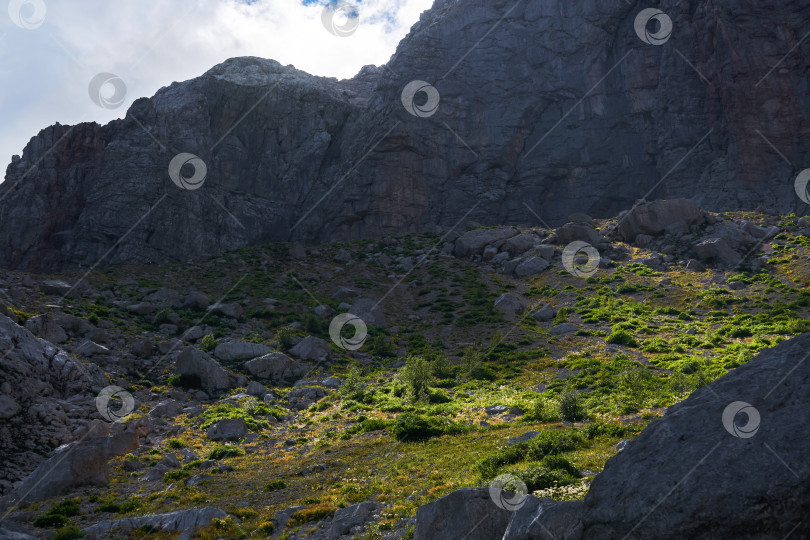 Скачать высокогорная ледниковая долина с крутыми склонами, травянистым дном и кло фотосток Ozero