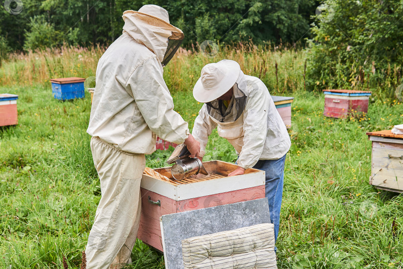 Скачать два пчеловода проверяют улей с помощью коптильни и вынимают фотосток Ozero