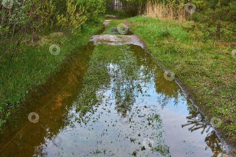 Скачать колеи грунтовой дороги в пойме реки, находящейся под водой. фотосток Ozero