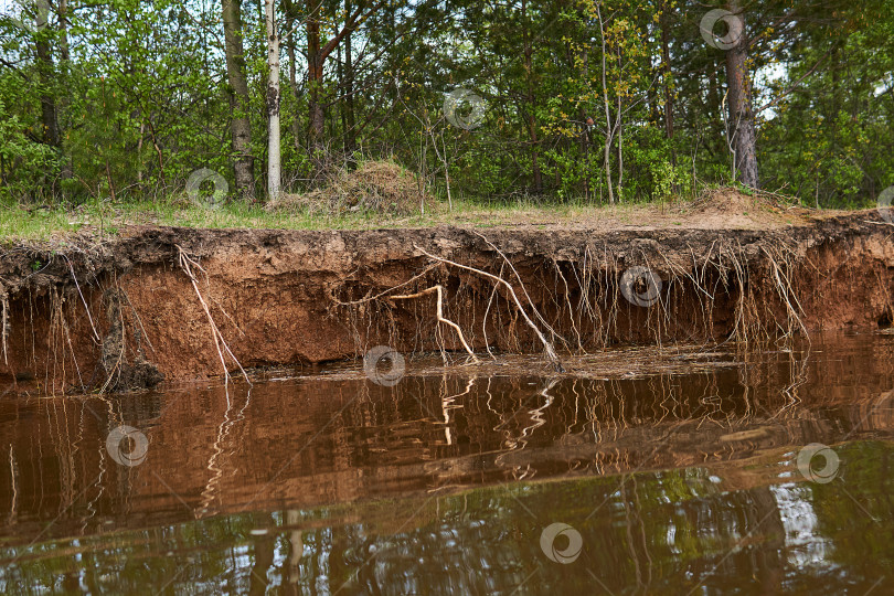 Скачать глинистый берег реки размывается водой во время паводков фотосток Ozero