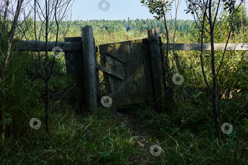 Скачать покосившаяся калитка в заброшенном деревенском заборе фотосток Ozero