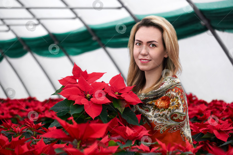Скачать молодая красивая женщина в шали среди красных цветов в зеленом саду фотосток Ozero