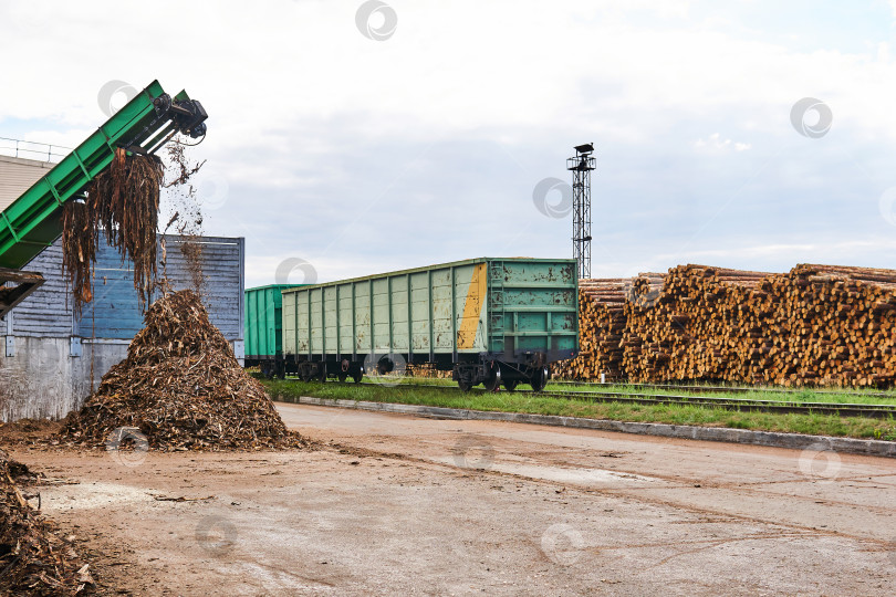 Скачать лесозаготовительный склад со штабелями бревен, открытыми грузовыми вагонами и складом коры фотосток Ozero