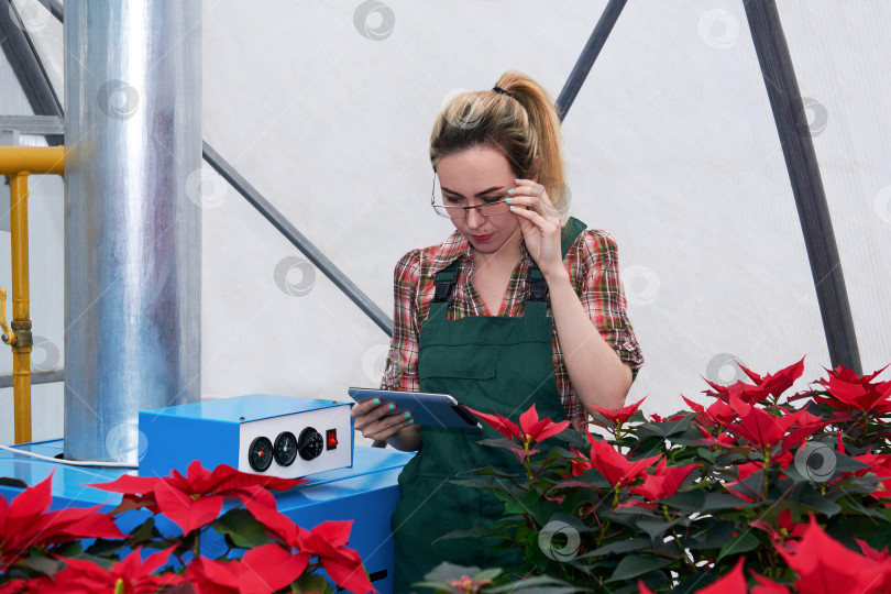 Скачать женщина-инженер-агроном работает с оборудованием в цветочном саду. фотосток Ozero