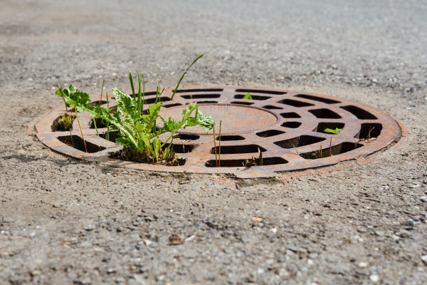 [object Object] undefined