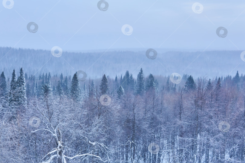 Скачать вид сверху на лесистые холмы во время снегопада фотосток Ozero