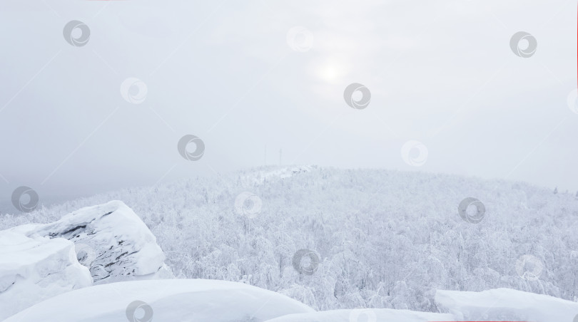 Скачать зимний вид с вершины горы на заснеженный лесистый холм фотосток Ozero