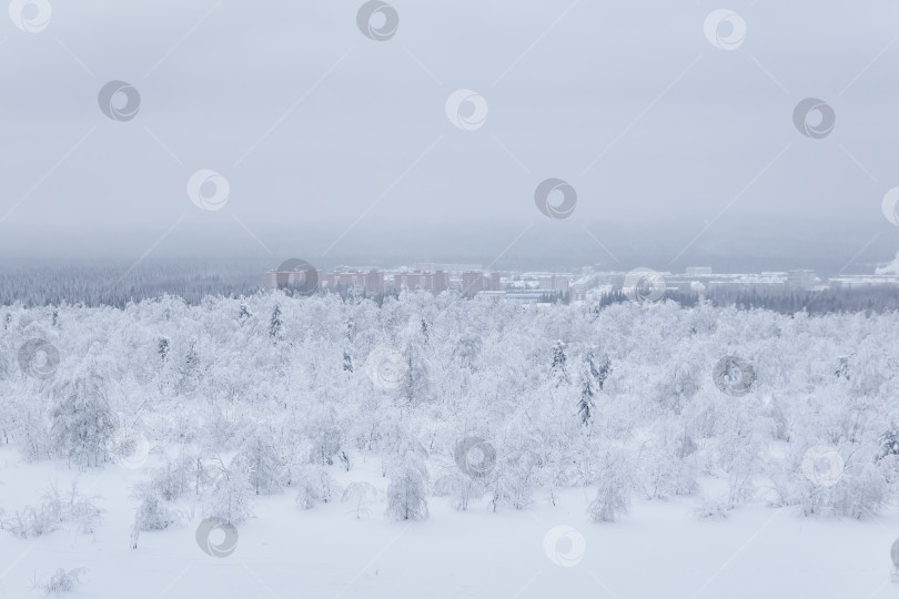 Скачать морозный зимний пейзаж - далекий город в долине посреди фотосток Ozero